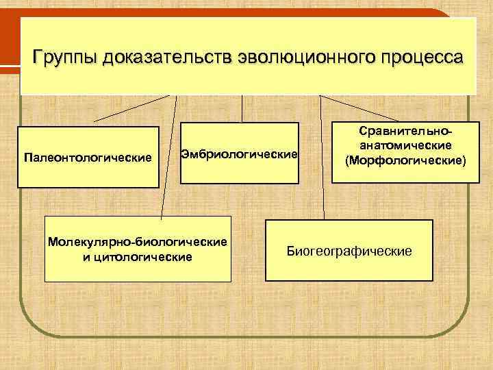  Группы доказательств эволюционного процесса    Сравнительно-     анатомические