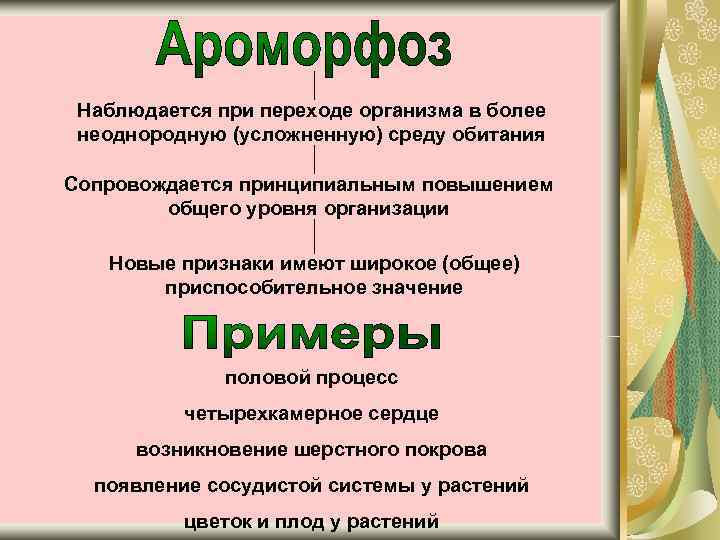  Наблюдается при переходе организма в более неоднородную (усложненную) среду обитания Сопровождается принципиальным повышением