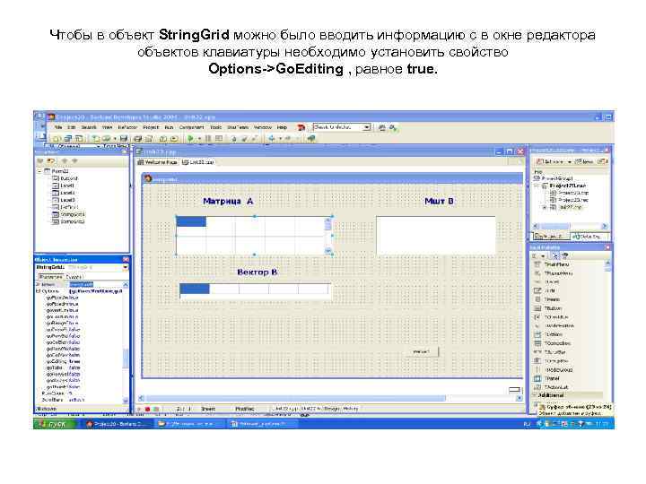Чтобы в объект String. Grid можно было вводить информацию с в окне редактора 