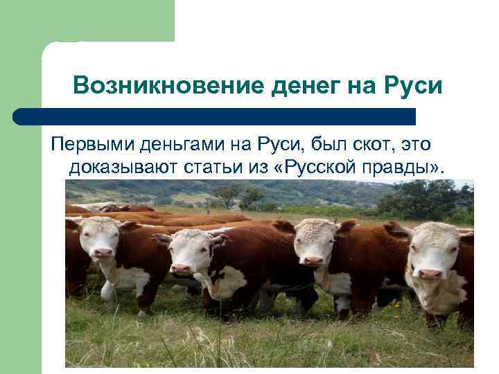  Возникновение денег на Руси Первыми деньгами на Руси, был скот, это доказывают статьи