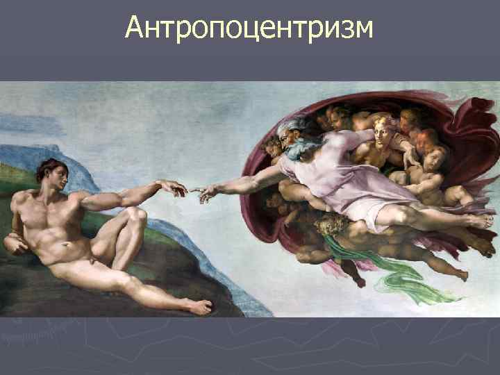 Антропоцентризм 