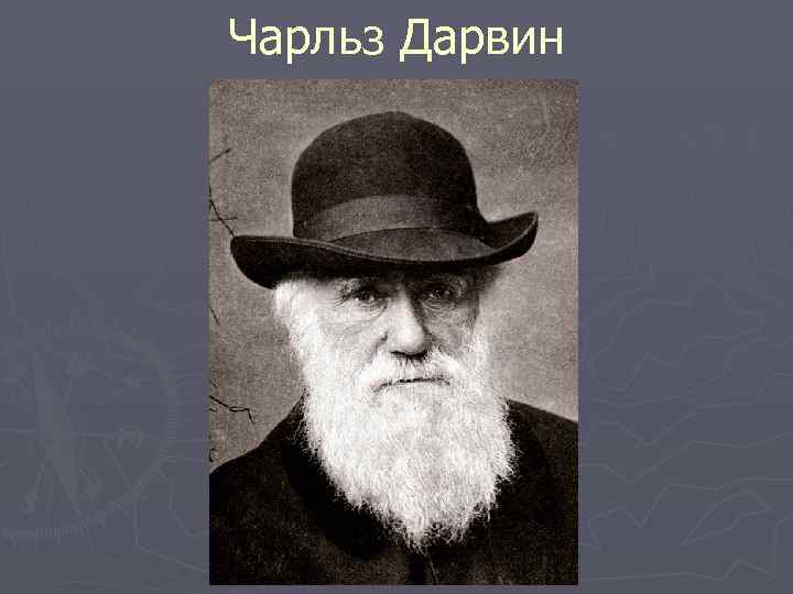 Чарльз Дарвин 