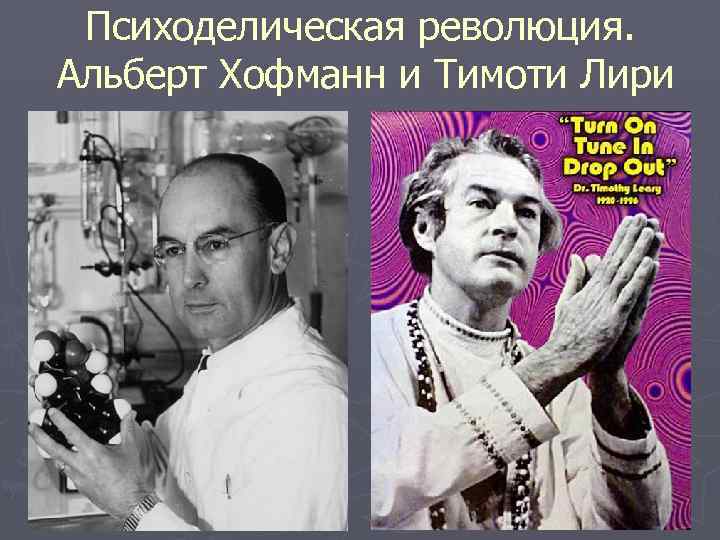  Психоделическая революция. Альберт Хофманн и Тимоти Лири 