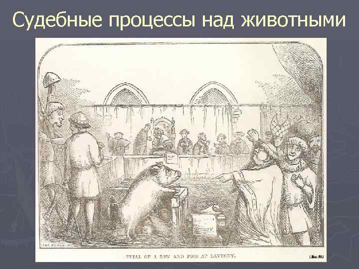 Судебные процессы над животными 