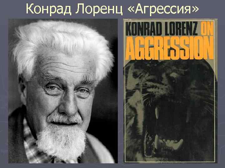 Конрад Лоренц «Агрессия» 