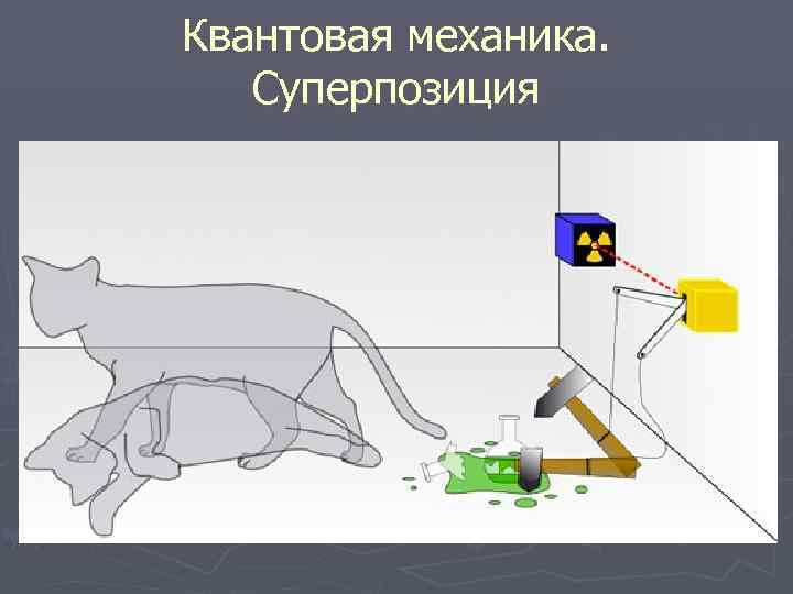 Квантовая механика. Суперпозиция 