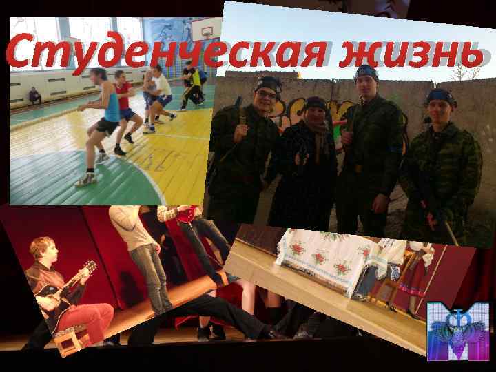 Студенческая жизнь 