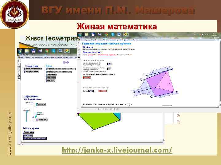     ВГУ имени П. М. Машерова     