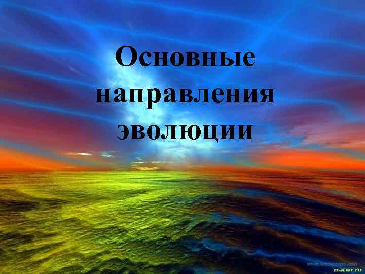 Основные направления эволюции Основные направления эволюции