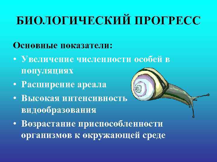 БИОЛОГИЧЕСКИЙ ПРОГРЕСС Основные показатели: • Увеличение численности особей в популяциях • Расширение БИОЛОГИЧЕСКИЙ ПРОГРЕСС Основные показатели: • Увеличение численности особей в популяциях • Расширение