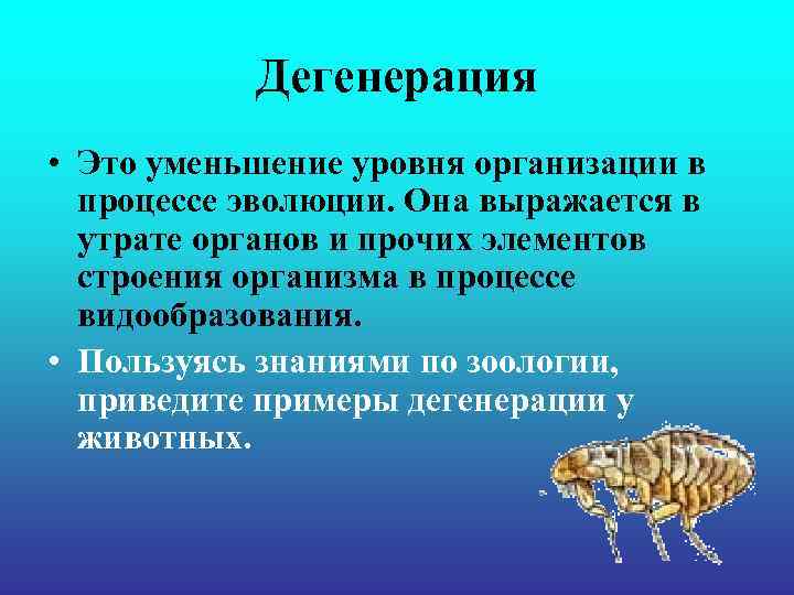 Дегенерация • Это уменьшение уровня организации в процессе эволюции. Она выражается Дегенерация • Это уменьшение уровня организации в процессе эволюции. Она выражается