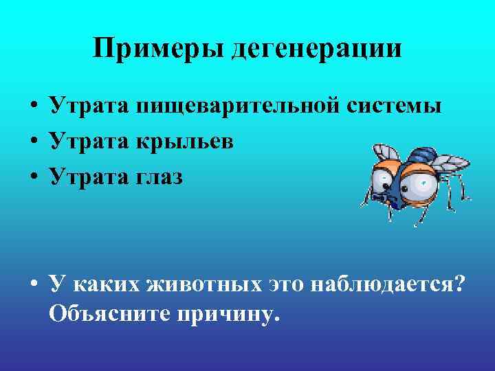 Примеры дегенерации • Утрата пищеварительной системы • Утрата крыльев • Утрата глаз • Примеры дегенерации • Утрата пищеварительной системы • Утрата крыльев • Утрата глаз •