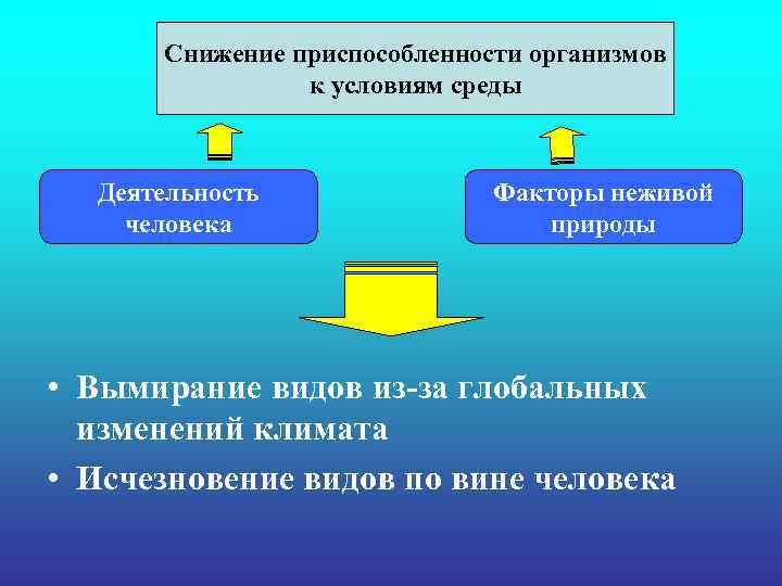 Снижение приспособленности организмов к условиям среды Деятельность Факторы Снижение приспособленности организмов к условиям среды Деятельность Факторы