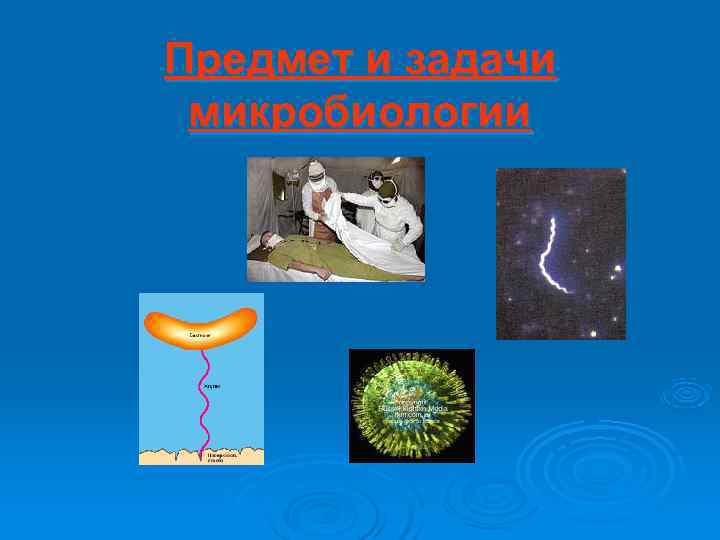 Предмет и задачи микробиологии 