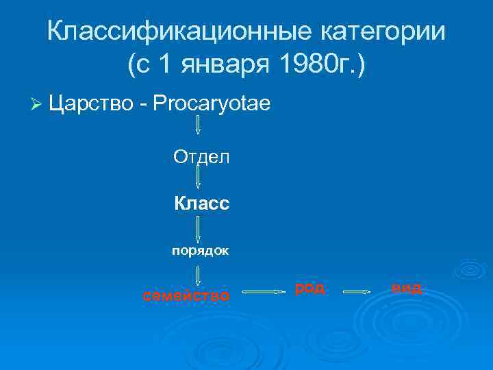  Классификационные категории  (с 1 января 1980 г. ) Ø Царство - Procaryotae