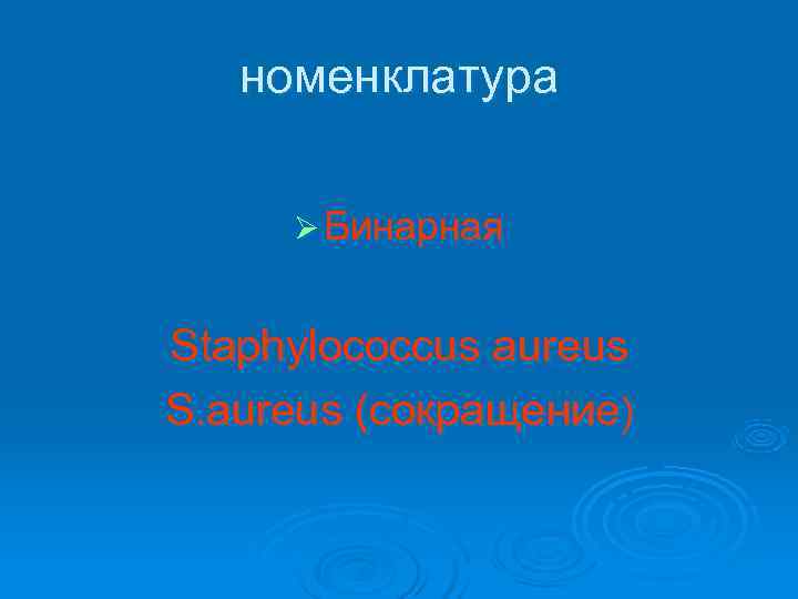   номенклатура  Ø Бинарная  Staphylococcus aureus S. aureus (сокращение) 