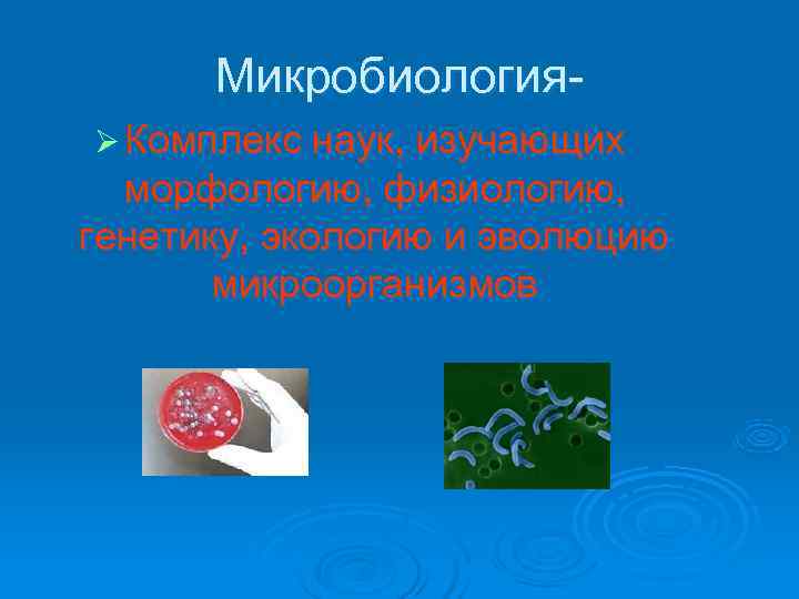  Микробиология- Ø Комплекс наук, изучающих  морфологию, физиологию, генетику, экологию и эволюцию 