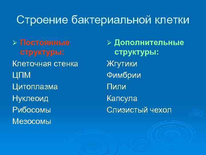 Строение бактериальной клетки Ø Постоянные  Ø Дополнительные  структуры: Клеточная стенка  Жгутики
