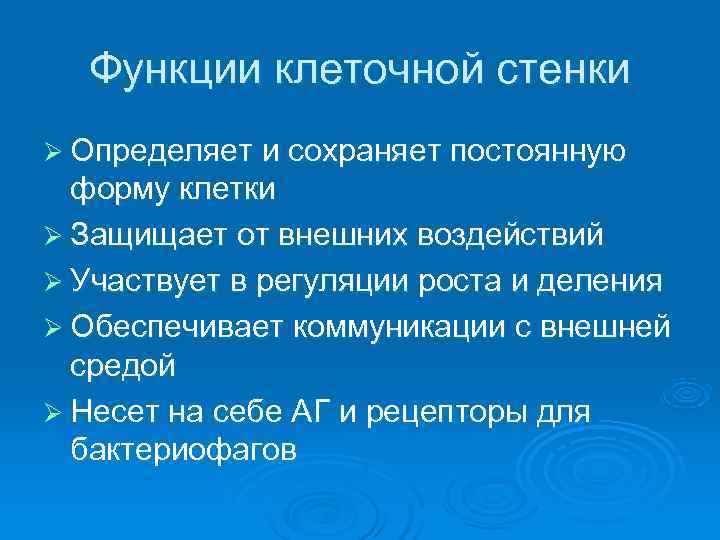  Функции клеточной стенки Ø Определяет и сохраняет постоянную  форму клетки Ø Защищает