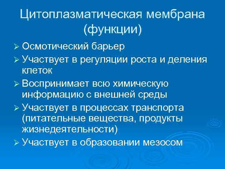  Цитоплазматическая мембрана  (функции) Ø Осмотический барьер Ø Участвует в регуляции роста и