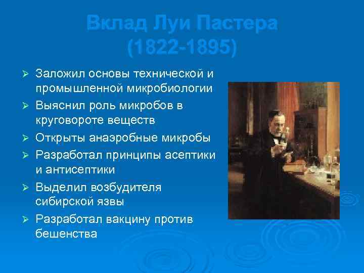   Вклад Луи Пастера    (1822 -1895) Ø  Заложил основы