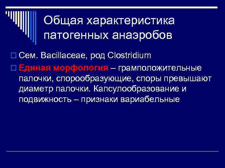   Общая характеристика   патогенных анаэробов o Сем. Bacillaceae, род Clostridium o