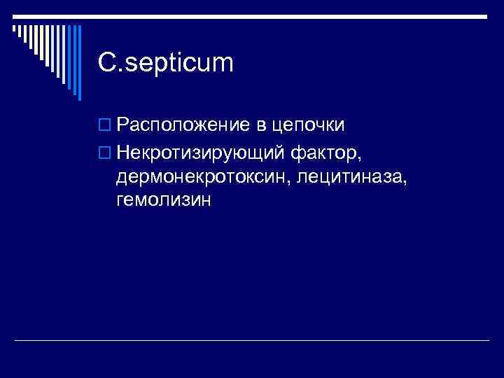 С. septicum o Расположение в цепочки o Некротизирующий фактор,  дермонекротоксин, лецитиназа,  гемолизин