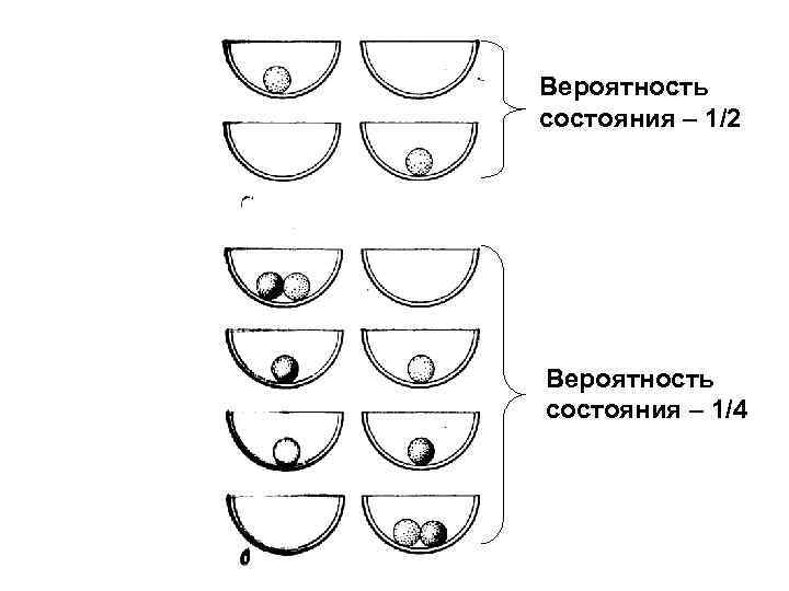 Вероятность состояния – 1/2 Вероятность состояния – 1/4 