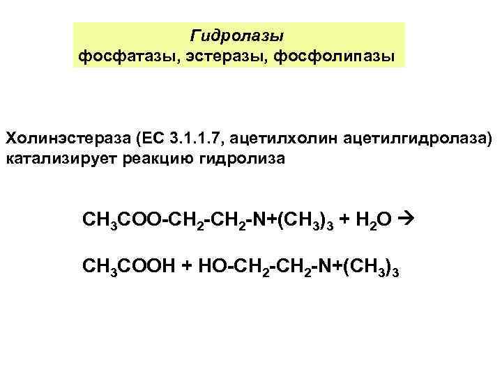     Гидролазы   фосфатазы, эстеразы, фосфолипазы  Холинэстераза (ЕС 3.