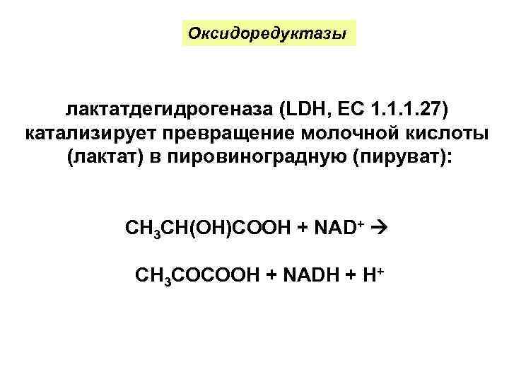   Оксидоредуктазы  лактатдегидрогеназа (LDH, EC 1. 1. 1. 27) катализирует превращение