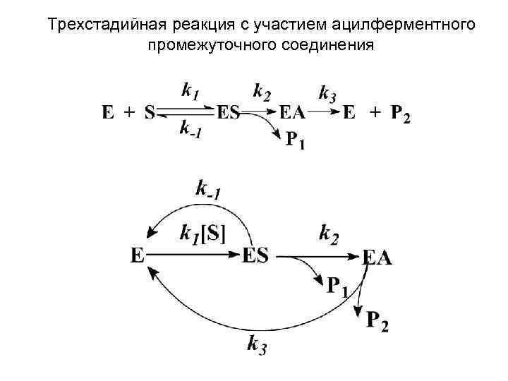 Трехстадийная реакция с участием ацилферментного  промежуточного соединения 