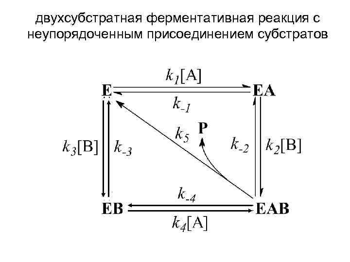  двухсубстратная ферментативная реакция с неупорядоченным присоединением субстратов 