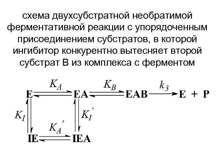   схема двухсубстратной необратимой ферментативной реакции с упорядоченным  присоединением субстратов, в которой