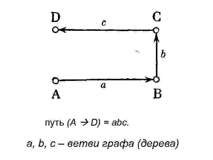   путь (A  D) = abc.  а, b, c – ветви