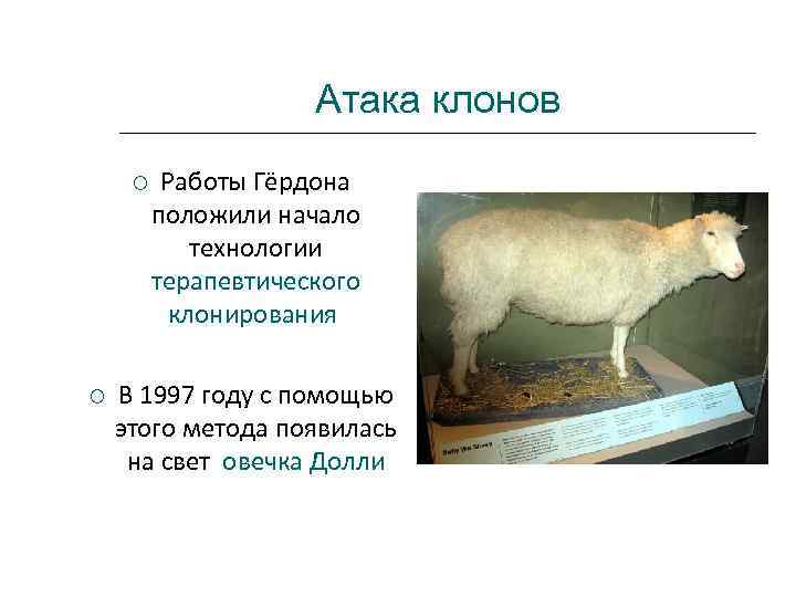      Атака клонов  Работы Гёрдона  положили начало 