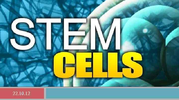 22. 10. 12 22. 10. 12