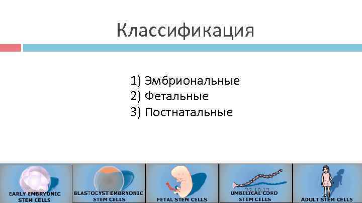 Классификация 1) Эмбриональные 2) Фетальные 3) Постнатальные 22. 10. Классификация 1) Эмбриональные 2) Фетальные 3) Постнатальные 22. 10.