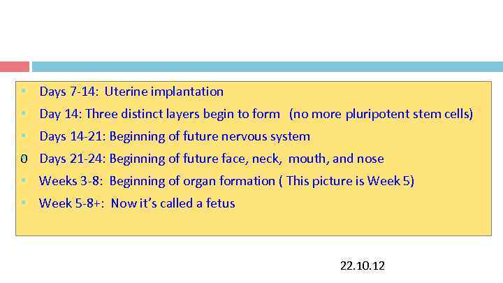 At what point is this a fetus? • Days 7 At what point is this a fetus? • Days 7
