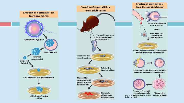 22. 10. 12 22. 10. 12