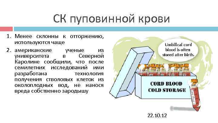 СК пуповинной крови 1. Менее склонны к отторжению, используются чаще СК пуповинной крови 1. Менее склонны к отторжению, используются чаще