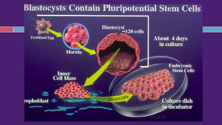 22. 10. 12 22. 10. 12