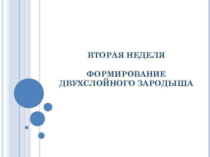   ВТОРАЯ НЕДЕЛЯ  ФОРМИРОВАНИЕ ДВУХСЛОЙНОГО ЗАРОДЫША 