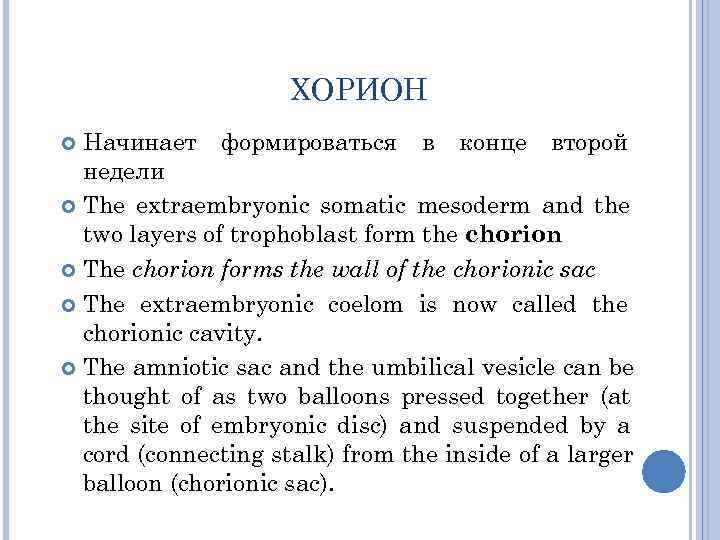      ХОРИОН  Начинает формироваться в конце второй  недели