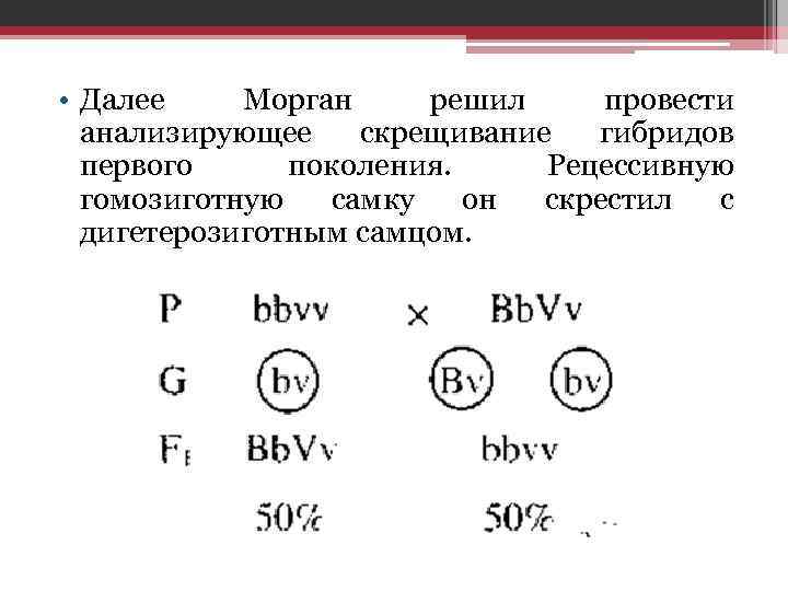 Анализирующее скрещивание дигетерозиготы