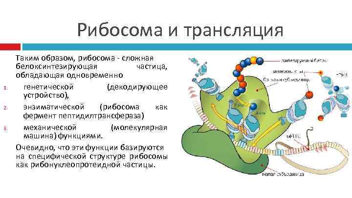 Что такое трансляция