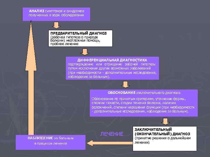 АНАЛИЗ симптомов и синдромов полученных в ходе обследования   ПРЕДВАРИТЕЛЬНЫЙ ДИАГНОЗ  