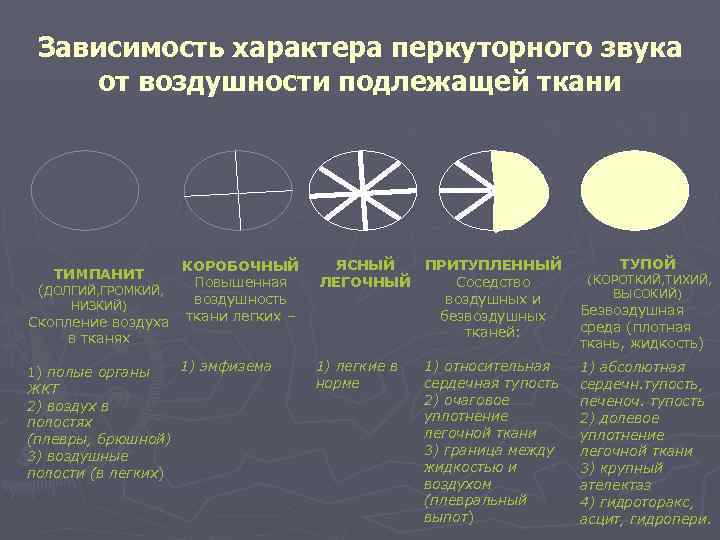  Зависимость характера перкуторного звука от воздушности подлежащей ткани    КОРОБОЧНЫЙ 