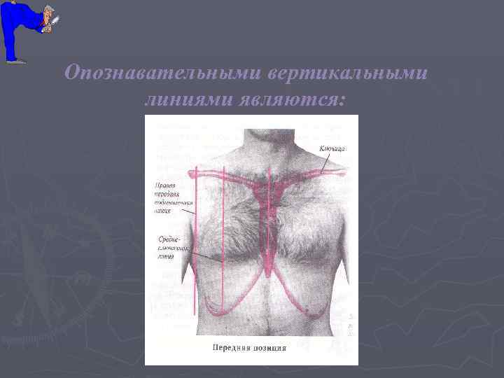 Опознавательными вертикальными  линиями являются: 
