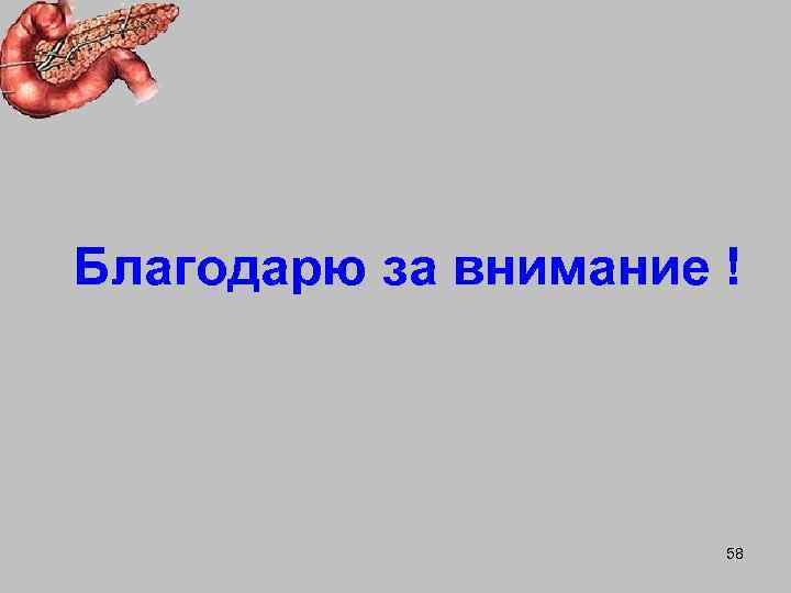 Благодарю за внимание !      58 