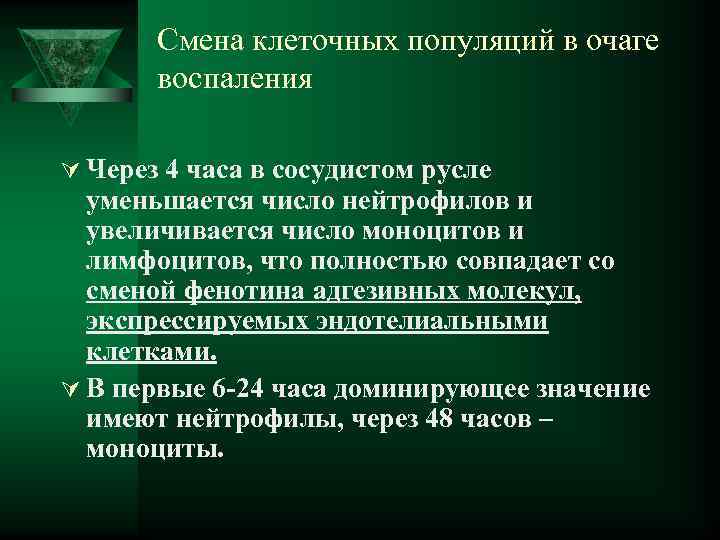   Смена клеточных популяций в очаге   воспаления Ú Через 4 часа
